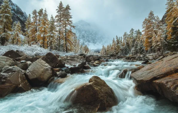 Картинка осень, снег, деревья, пейзаж, горы, природа, туман, река