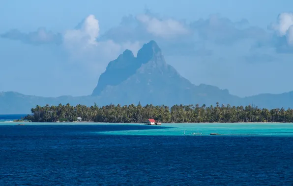 Картинка море, горы, тропики, пальмы, Бора-Бора, Bora-Bora, French Polynesia, Hipu