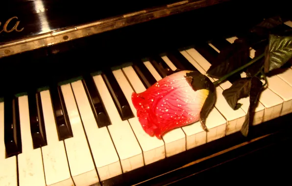 Картинка музыка, роза, пианино