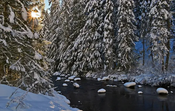 Картинка зима, деревья, река