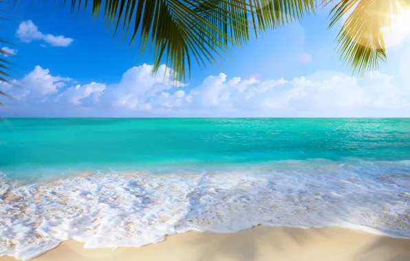 Песок, море, пляж, пальмы, берег, summer, beach, sea