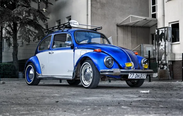 Volkswagen, Blue, White, Beetle, Volkswagen Beetle