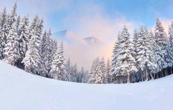 Картинка зима, лес, снег, горы, ёлки