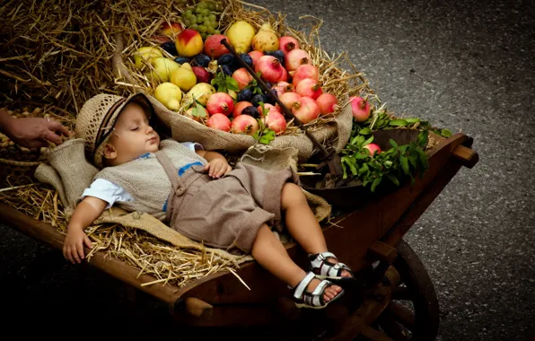 Мальчик, коляска, фрукты