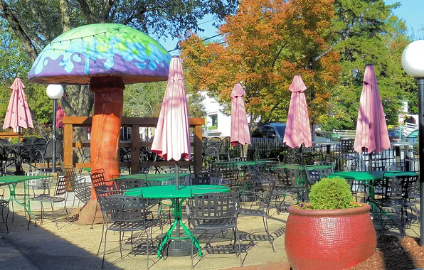 Pizza, Raleigh NC, Mellow Mushroom