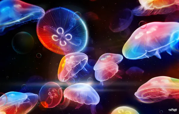 Картинка медузы, разноцветные, Dancing Underwater