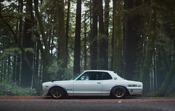 Nissan, silver, skyline