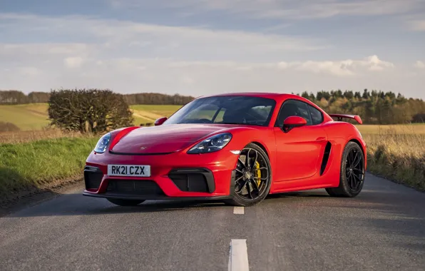 Porsche, Cayman, GT4, 718, 2021, PDK