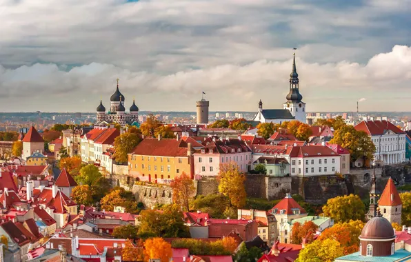 Дома, Эстония, панорама, Таллинн