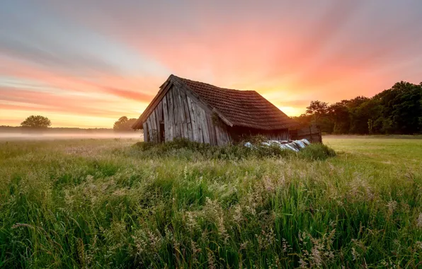 Картинка поле, туман, дома, утро
