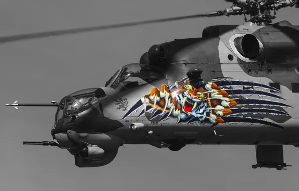 Вертолет, Ми-24, ВВС Чехии, Mil Mi-35