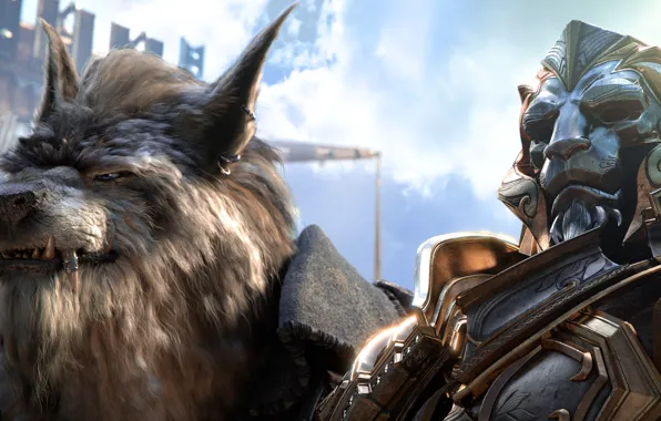 World Of Warcraft, Vorgen, Anduin Rynn