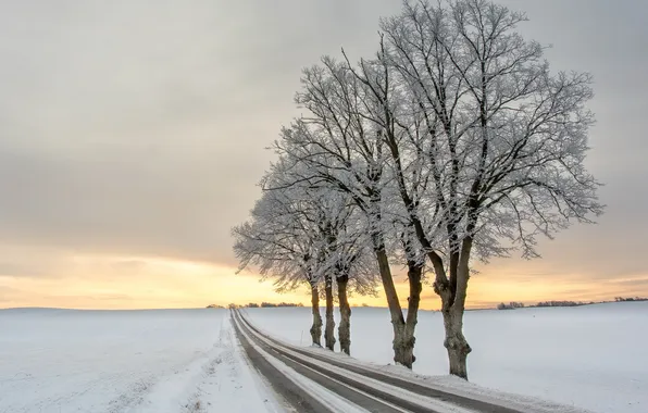 Картинка зима, дорога, деревья