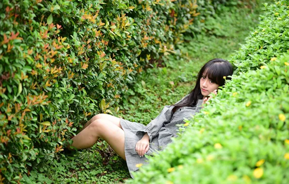 Картинка девушка, ножки, кусты