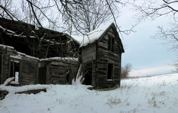 Картинка зима, лес, снег, дом, заброшенный, house, хижина, abandoned