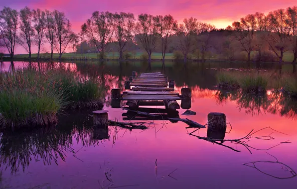 Деревья, закат, озеро, отражение, пирс, trees, sunset, lake