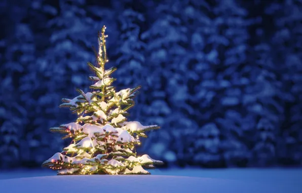 Картинка зима, снег, деревья, пейзаж, ночь, природа, Рождество, Christmas