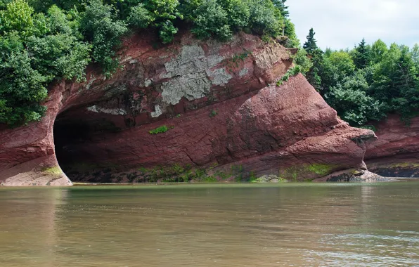 Море, лес, деревья, берег, пещера, caves, St. Martins Sea