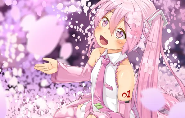 Vocaloid, hatsune miku, sakura miku