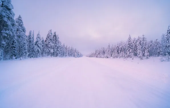 Картинка дорога, лес, деревья, пейзаж, Зима