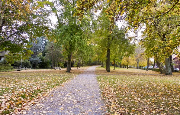 Осень, парк, листва, дорожка, park, Autumn, leaves, path
