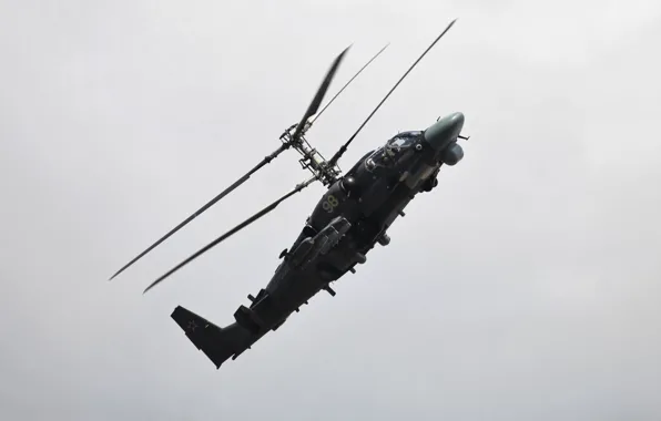 Картинка вертолет, Аллигатор, ка-52, ввс россии, Hokum B