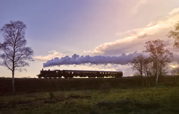Картинка природа, дым, поезд, вагоны