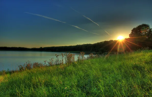 Картинка трава, солнце, закат, природа, река, фото, рассвет, Германия