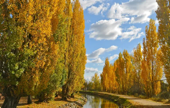 Картинка осень, небо, деревья, канал