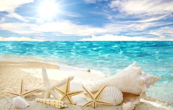 Картинка песок, море, пляж, солнце, звезды, ракушки, summer, sunshine