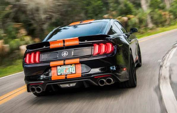 Скорость, Mustang, Ford, Shelby, вид сзади, GT-S, 2019