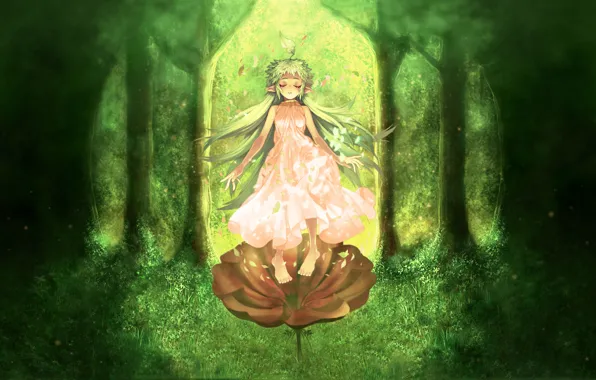 Картинка лес, цветок, трава, эльф, арт, девочка, Аниме, Ragnarok Online