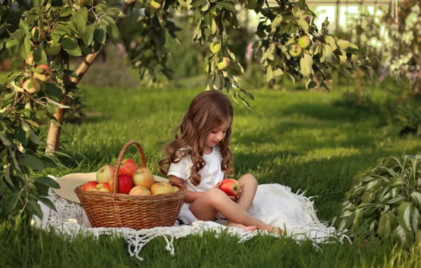 Корзина, яблоки, урожай, девочка
