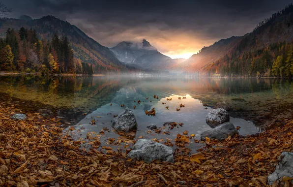Листья, горы, озеро, Австрия, сень, Langbathsee