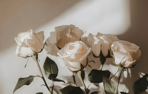 Листья, цветы, стена, розы, букет, тени, белые, ИИ-арт