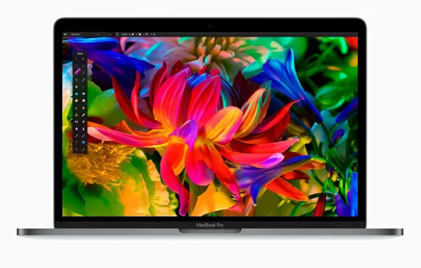 Apple, flower, design, laptop, hana, technology, Macbook Pro, Macbook