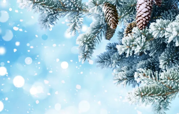 Снег, иголки, ветки, фон, елка, Новый год, шишки