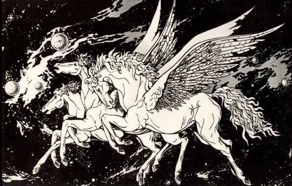 Black and White, Pegasus, Space Fantasy, Photos