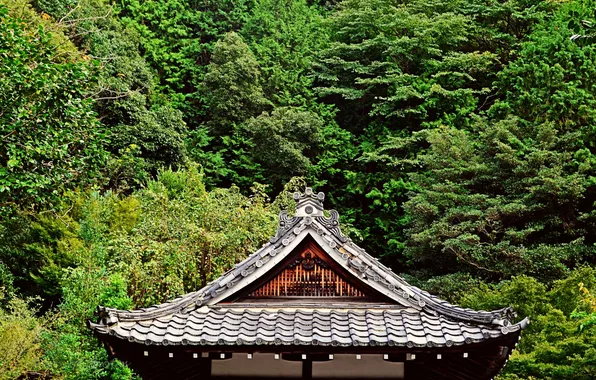 Картинка крыша, зелень, деревья, Япония, сад, пагода