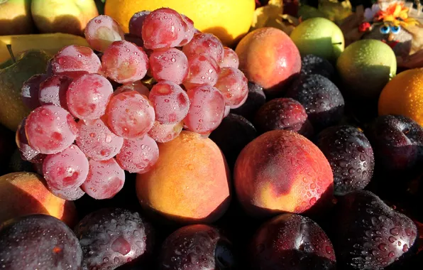 Картинка виноград, фрукты, персики, сливы