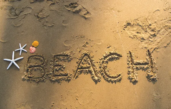 Картинка песок, пляж, лето, ракушки, summer, beach, sea, sand