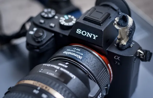 Макро, фотоаппарат, Sony