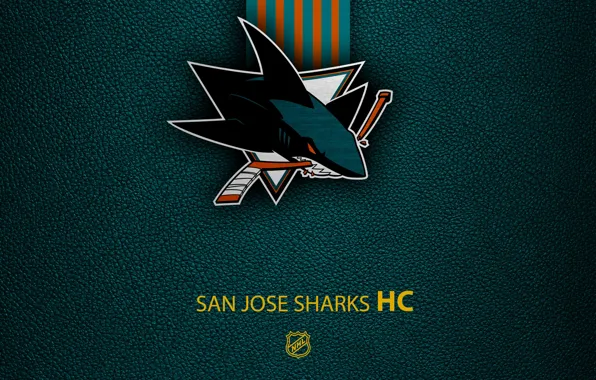 Wallpaper, sport, logo, San Jose Sharks, NHL, hockey