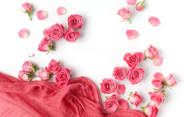 Розы, бутоны, pink, flowers, romantic, roses