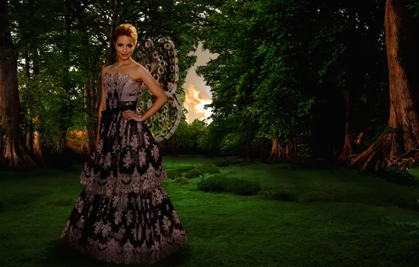 Девушка, платье, актриса, крылышки, Dianna Agron