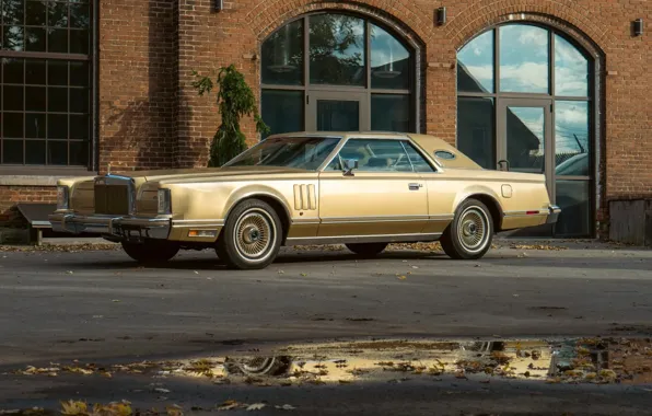 Картинка Lincoln, Continental, Diamond, Edition, Mark V, Jubilee, '1978