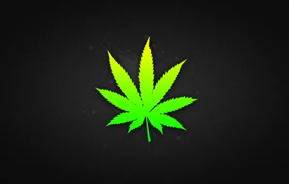Картинка листья, травка, марихуанна