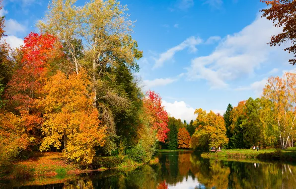 Картинка осень, листья, деревья, парк, река, colorful, river, nature