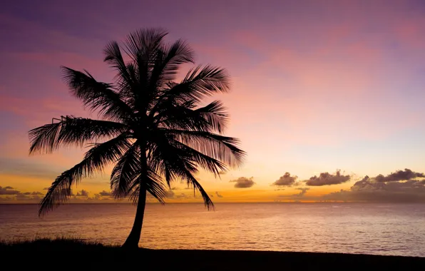 Картинка песок, море, пляж, небо, вода, закат, природа, пальма
