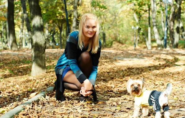 Puppy, trees, stockings, park, model, gorgeous, photoshoot, posing